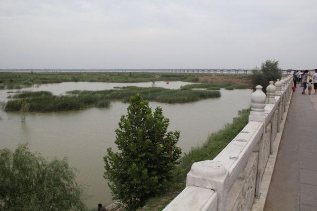 国家湿地公园,湿地,黄河,公园,郑州,冯德显