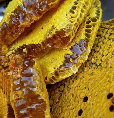 正宗深山野生土蜂蜜可长期合作