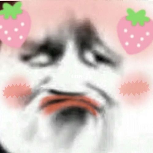 我来了_搞笑斗图_素材_表情包