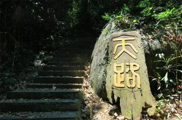 游玩攻略|海南昌江景点游玩攻略之海南热带雨林国家公园(霸王岭)