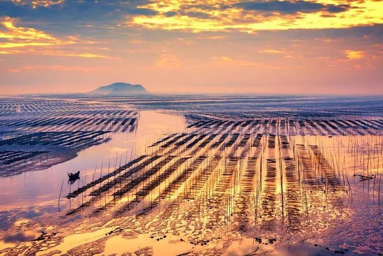 探索民宿发展新模式助推乡村振兴大提速福建霞浦县积极培育和扶持地方