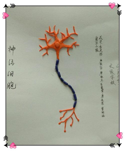 c1804班的"神经元"