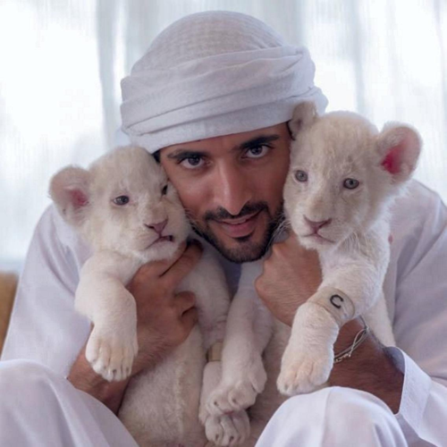 威尔·史密斯赠豪礼,迪拜王储哈姆丹晒照致谢!盘点哈姆丹的有趣瞬间