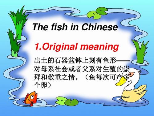 中西方动物文化差异ppt