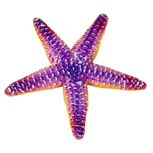 仿真海洋动物海星模型玩具塑胶实心海底世界仿真