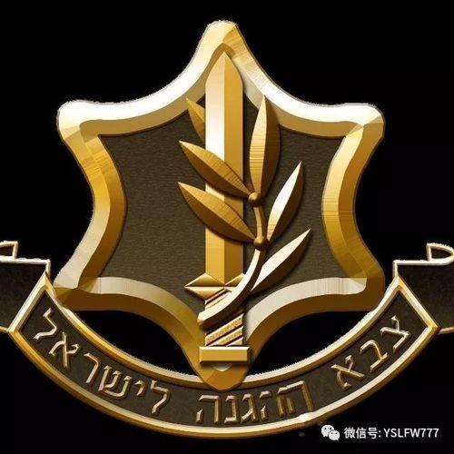 谈以色列国防军