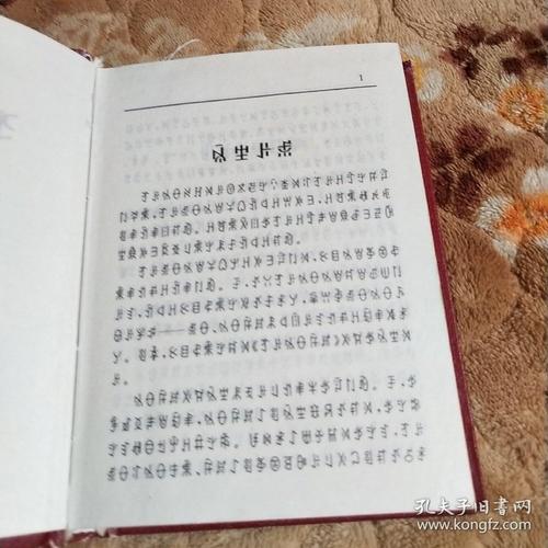 彝文字典