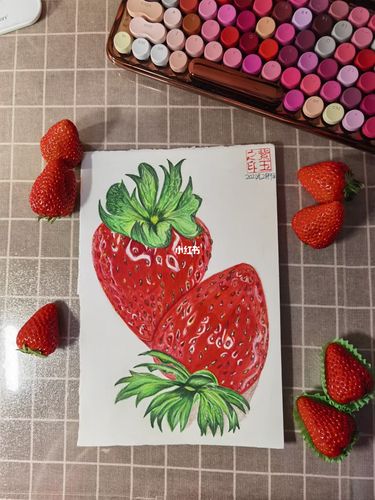 彩铅干货零基础小白如何画出一幅彩铅草莓