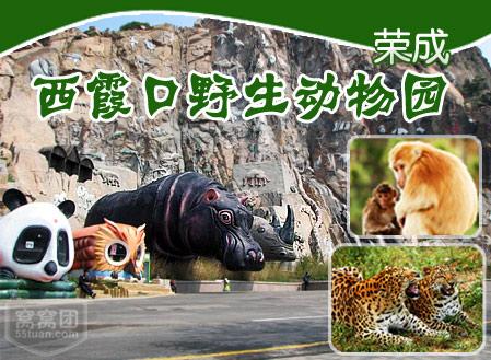 威海野生动物园门票,威海野生动物园门票团购,威海园