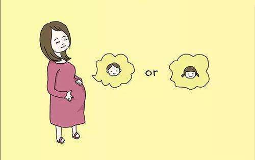 性高潮更容易生男孩,是真的吗?