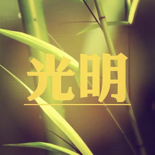 求大神帮忙做一个图,上面有光明两个字,古风一点!