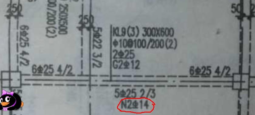 求指点!图里,集中标注中有 g2b12, 下部钢筋中的 n2b14 在哪输啊?