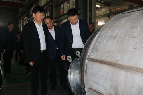 椒江区副区长倪成晖一行莅临公司视察