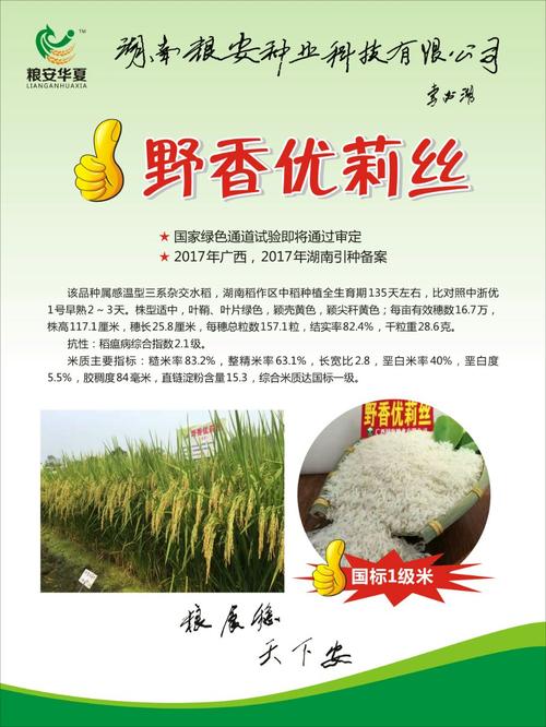 野香优莉丝