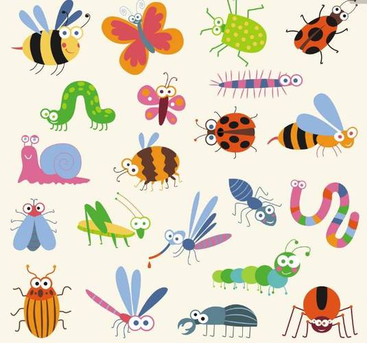 观课| 邹克波:昆虫世界里的曼妙诗意 ——儿童诗赏析