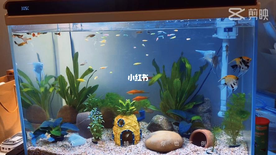布置小鱼缸_鱼缸_家居家装_家居装饰_家居装饰其他