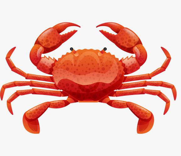 一只红色的大闸蟹