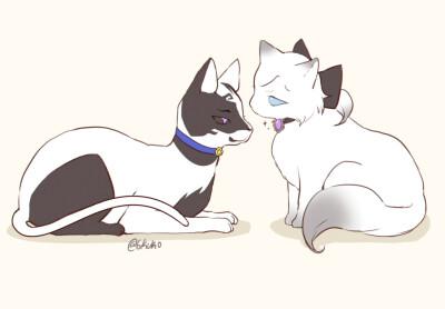 第五人格 猫咪 约瑟夫 宿伞之魂 推特 画师 6