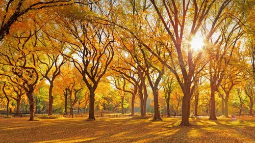 4k高清电脑壁纸大图114