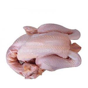 餐饮生鲜 家禽 鸡 供应 白条鸡   上一个 下一个>  白条鸡 白条鸡