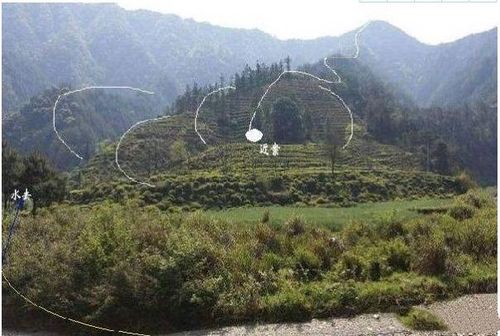 风水学中背面是指龙脉的正面和背面吗