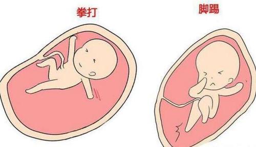 胎宝宝在妈妈肚子里十个月变化过程, 附十个月注意事项