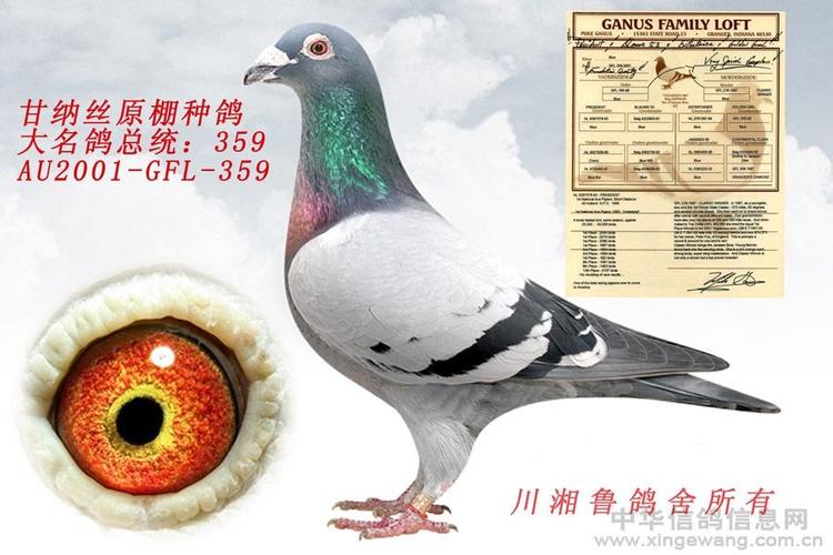 甘纳斯总统号直孙