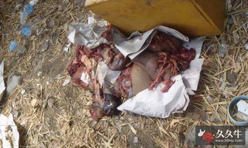 中国食人村 屠宰女人大块撕咬血腥淋漓画面恐怖令人呕心