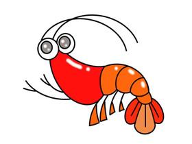 可爱大虾简笔画画法图片步骤