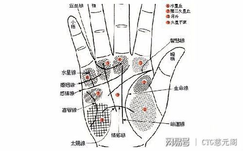 脚面有痣,代表自己的生活与工作经常遭小人踩,所以脚面上的痣都