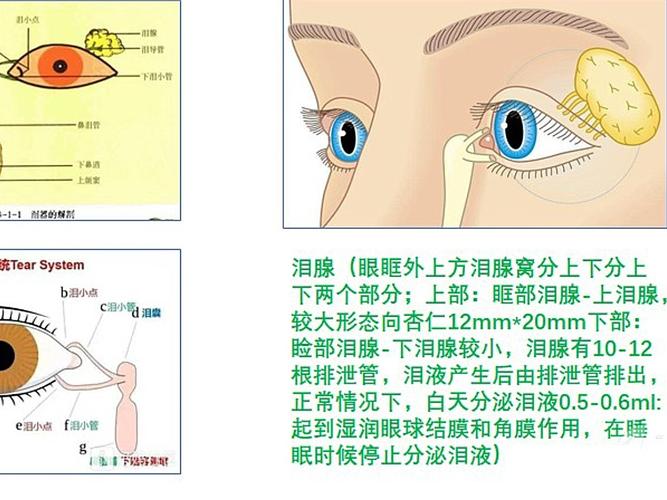 你的肿泡眼竟是因为泪腺脱垂?