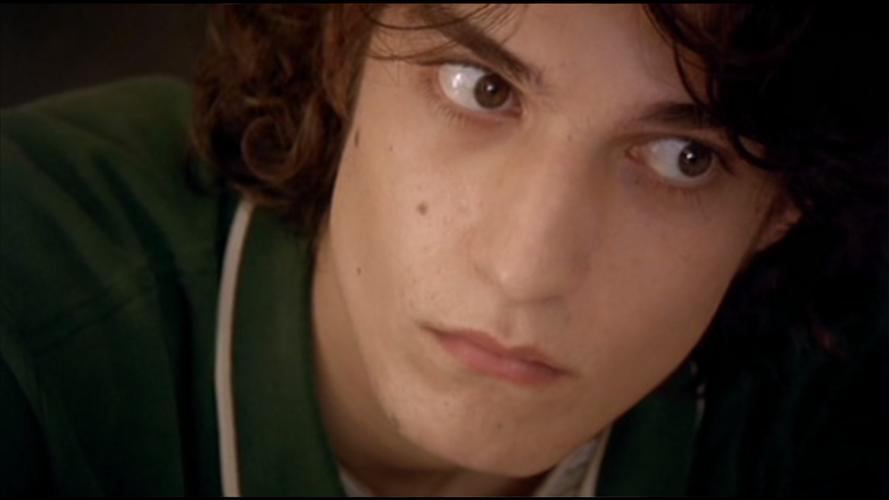 路易斯·加瑞尔 louis garrel