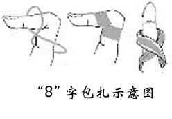 不同部位的绷带包扎步骤_高清图集_新浪网