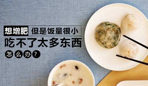 饭量小怎么摄入更多热量?