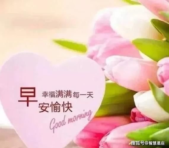 微信祝福朋友早上好动态早安图片大全早上好早安暖心句子早安问候图片