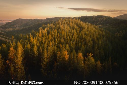 大山中的森林美景高清摄影图片