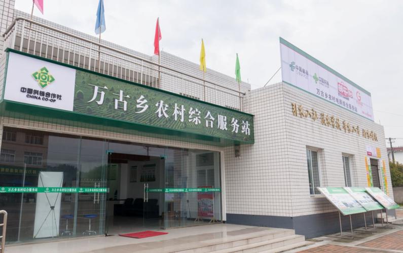 双线推动 助力乡村振兴 雅安市供销合作社在振兴乡村中发挥主力军作用