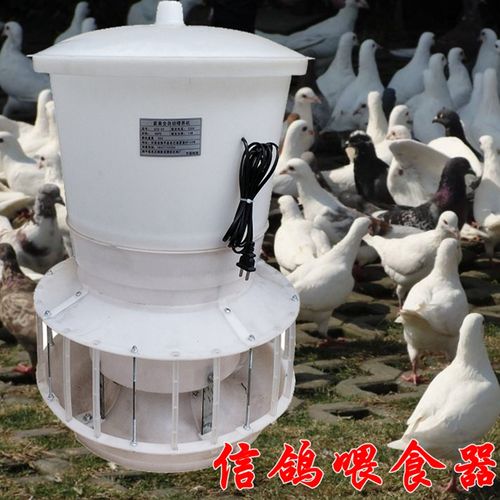 信鸽全自动定时喂鸡投料机鸽子喂食器鸭投放养殖畜牧