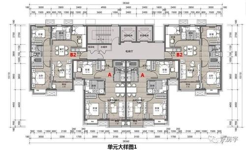 单元平面图
