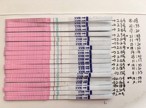 备孕一定要知道教你如何使用排卵试纸测排卵