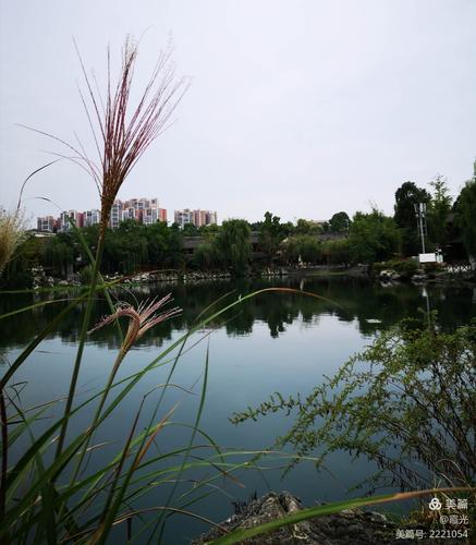 泉湖公园游玩记