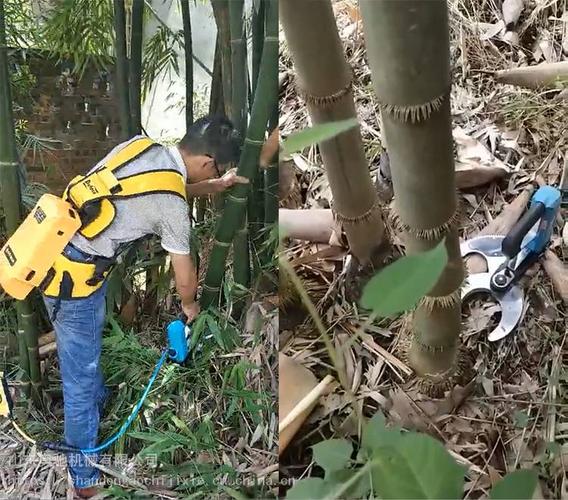 山东奥驰伐竹剪背负式锂电池电动伐竹剪四川贵州地区伐竹机