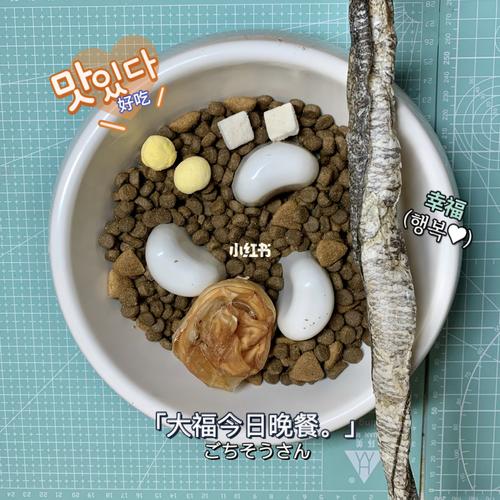 美滋滋的黄皮猪_黄皮_零食_美食_美食展示