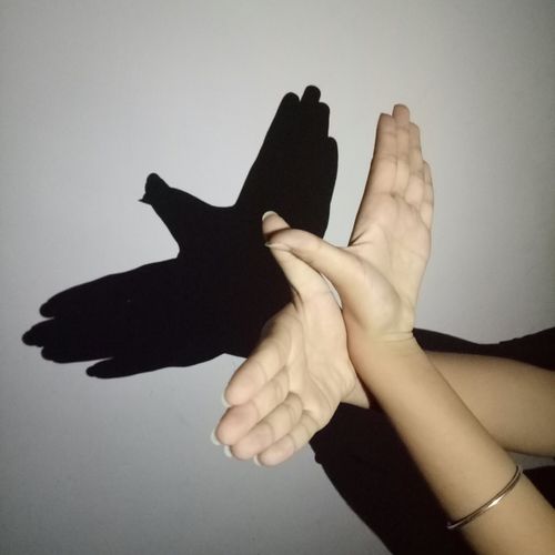 音乐素养～手影