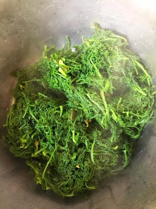 春食野菜香#凉拌米米蒿