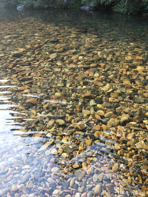 真想躺在清澈见底的小溪中沐浴阳光