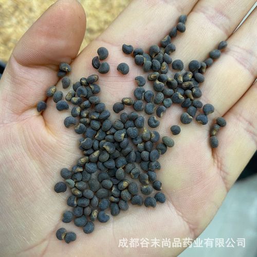 黄葵子 黄蜀葵籽 黄葵籽 500克中药材批发 有黄蜀葵花