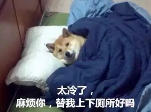 天气好冷的图片冷得发抖的可爱图片