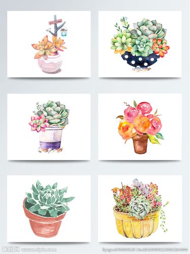 手绘多肉合集卡通素材图片