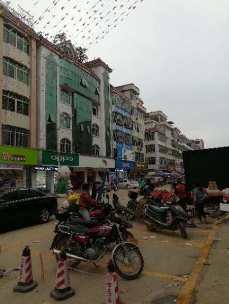 化州市 >> 生活服务   标签: 村庄 乡镇 行政区划  平定镇共多少人